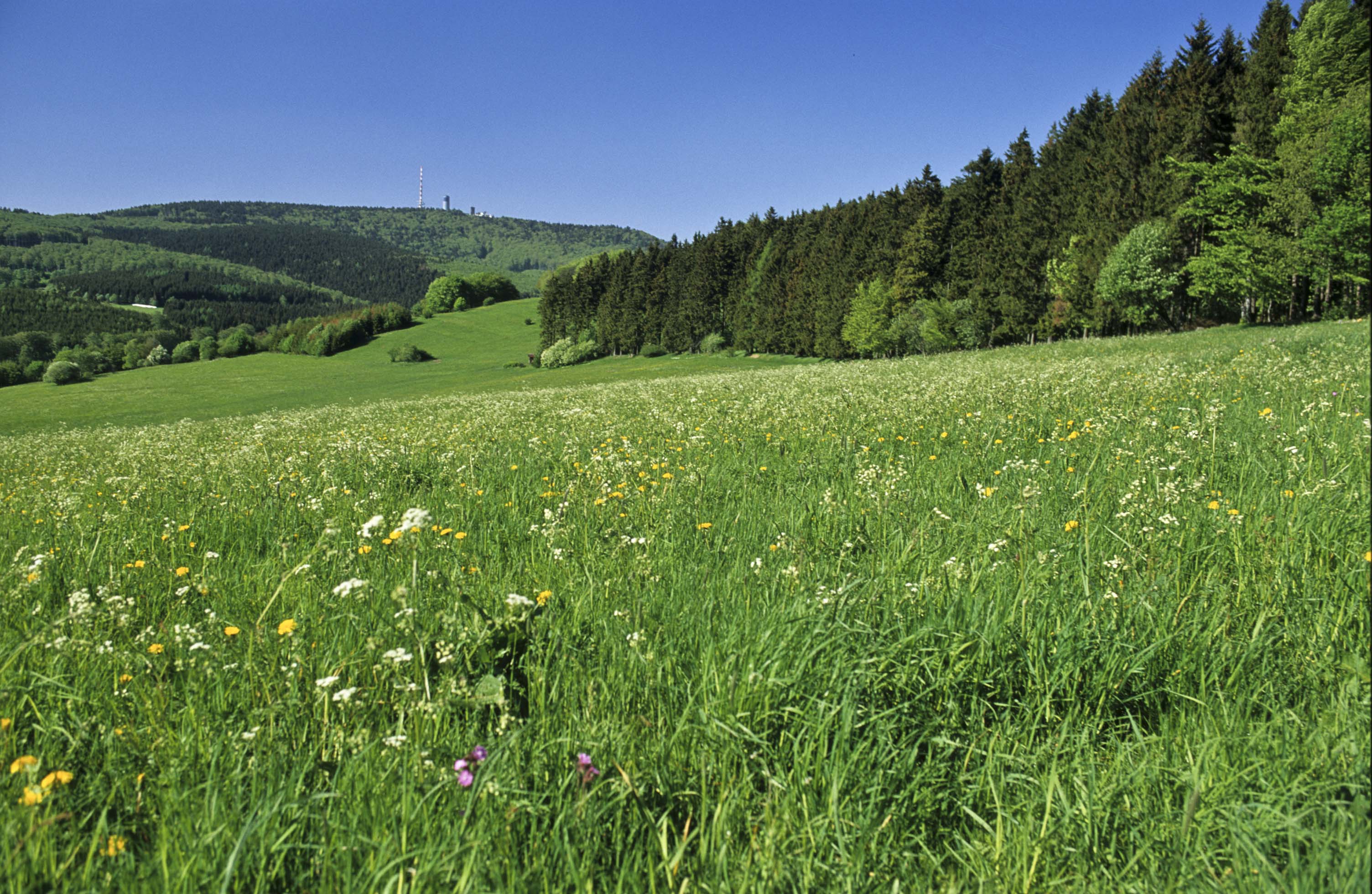 Blick auf den Inselsberg