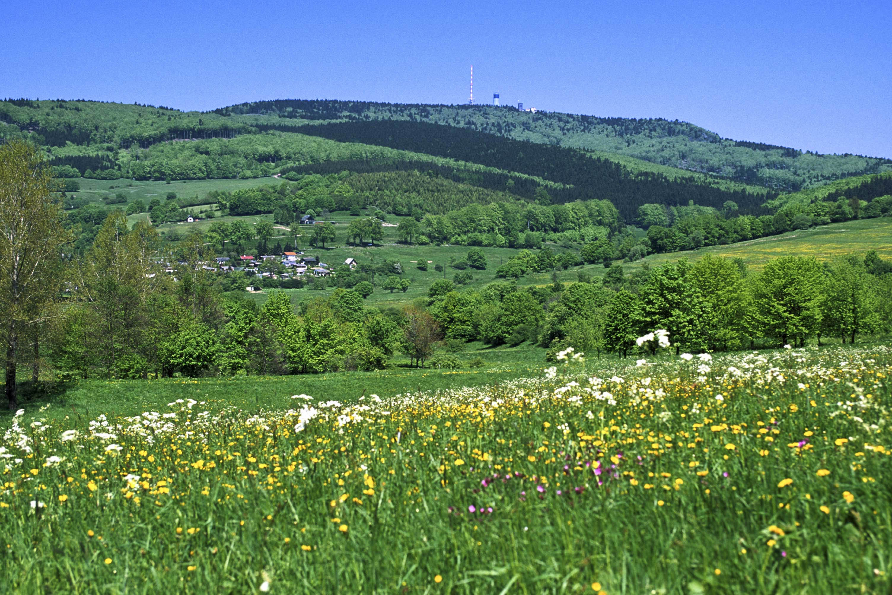 Inselsberg