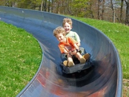 Sommerrodelbahn am Inselsberg, Brotterode
