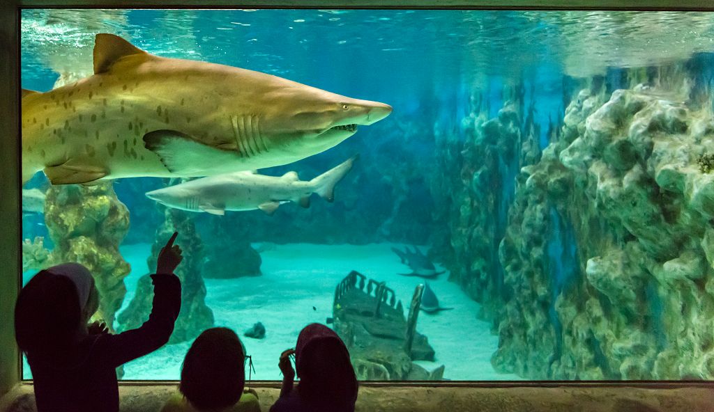 Meeresaquarium Zella-Mehlis